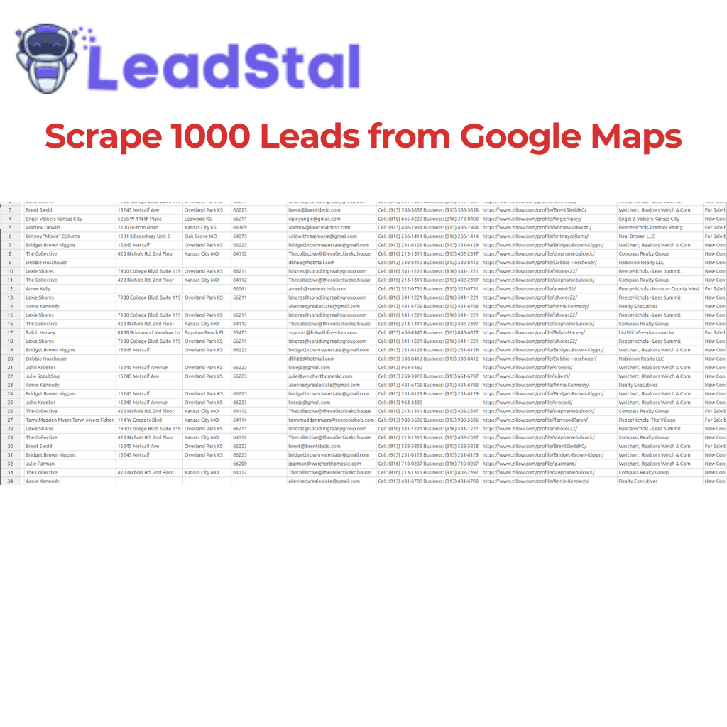 How to Scrape 1000 Leads from Google Maps?